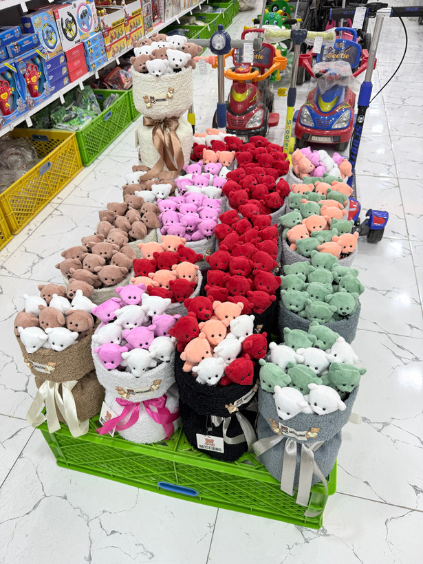 بوکت تدی ۱۰ عددی
