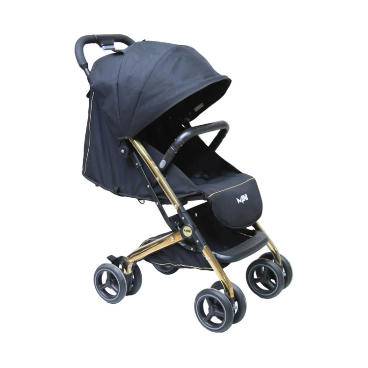 کالسکه مینی پرو دلیجان